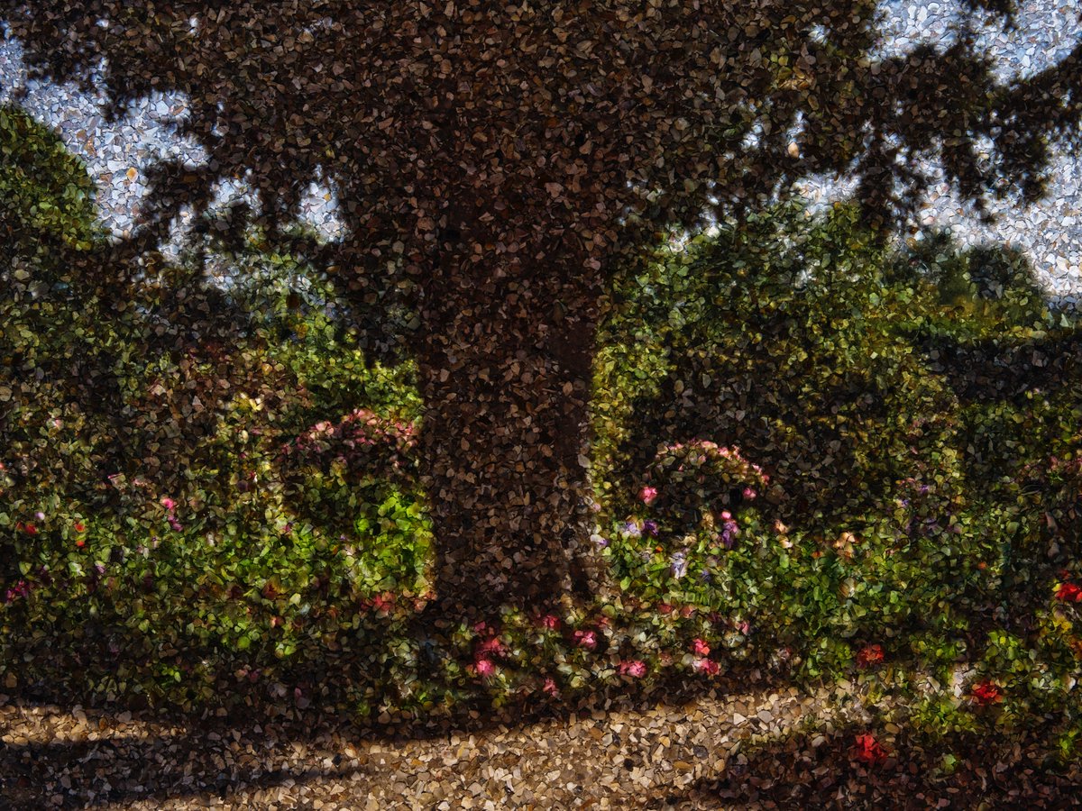 I’m excited to announce I’m giving a talk at the PRC in Cambridge on March 6th from 6:30-8:30pm. It will also be streamed online. I hope to see you there!

Photograph: Tent-Camera Image: Yew Tree in Monet’s Garden, Giverny, France, 2023

prcboston.org/abelardo-morel…