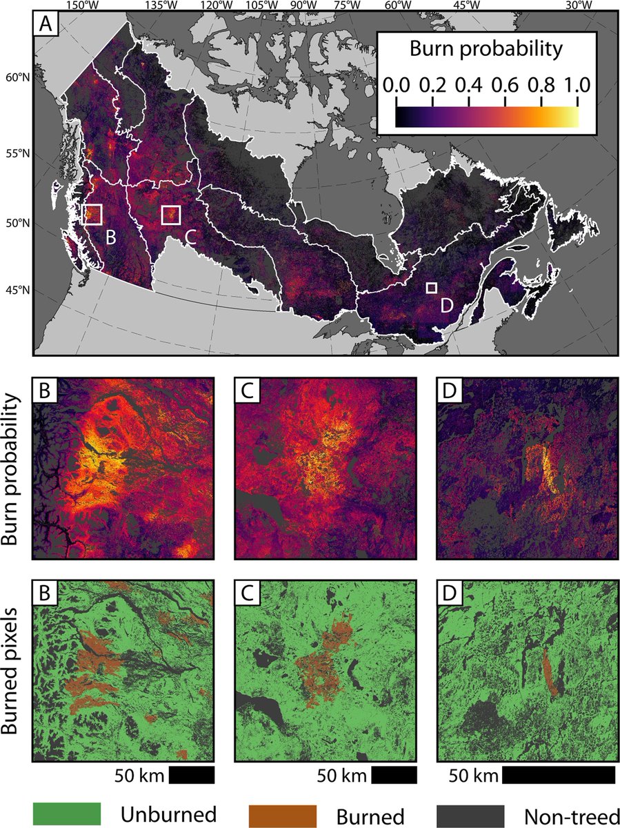 Where &amp; how much #wildfire can be expected?🌲🔥
We use #timeseries #Landsat, #climate, biotic &amp; topographic predictors to model. 
Mulverhill et al. Multidecadal mapping of status and trends in annual burn probability over Canada’s forested ecosystems.
🔗sciencedirect.com/science/articl…