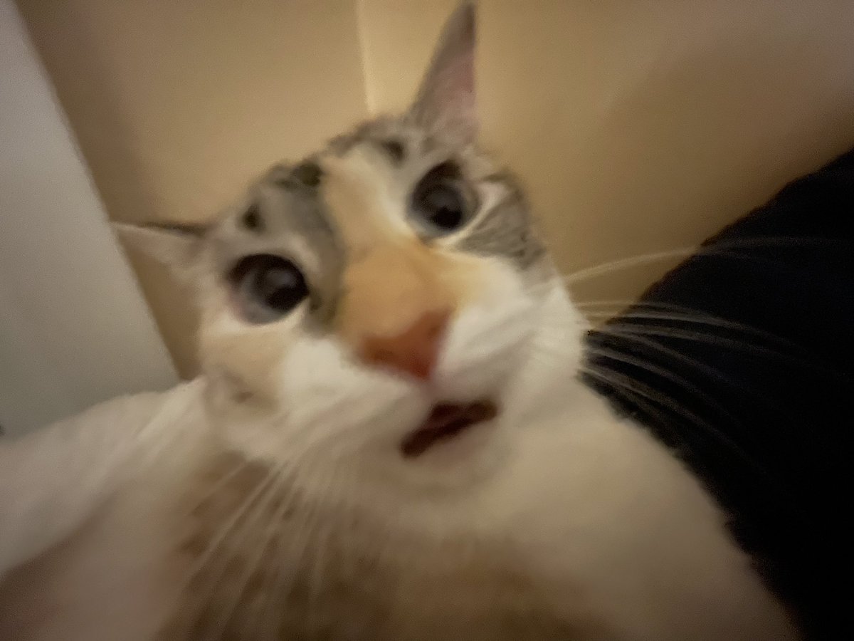 elfbar420's tweet photo. what a derp https://t.co/RTxAyCXzaT