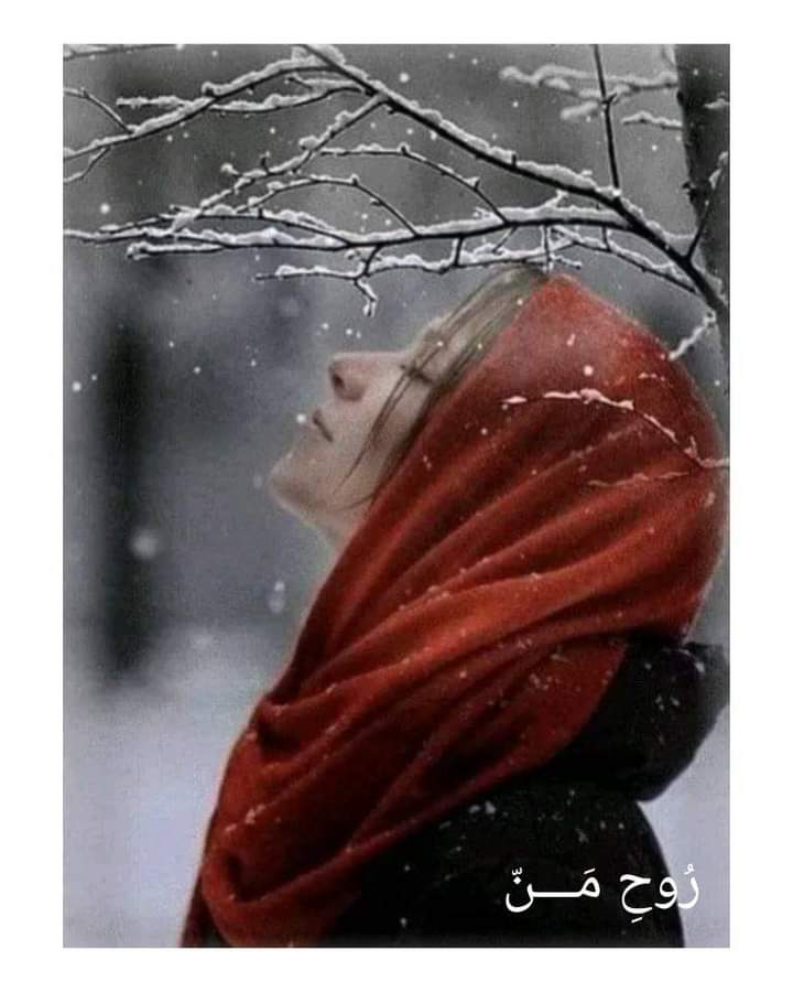 mahiloves5's tweet photo. نگاہیں چار ہوئیں ، وقت ہوش کھو بیٹھا
صدی ، دہائی ، برس ، ماہ ، روز ، آج ، ابھی❤️ https://t.co/zWy6Twpk7H