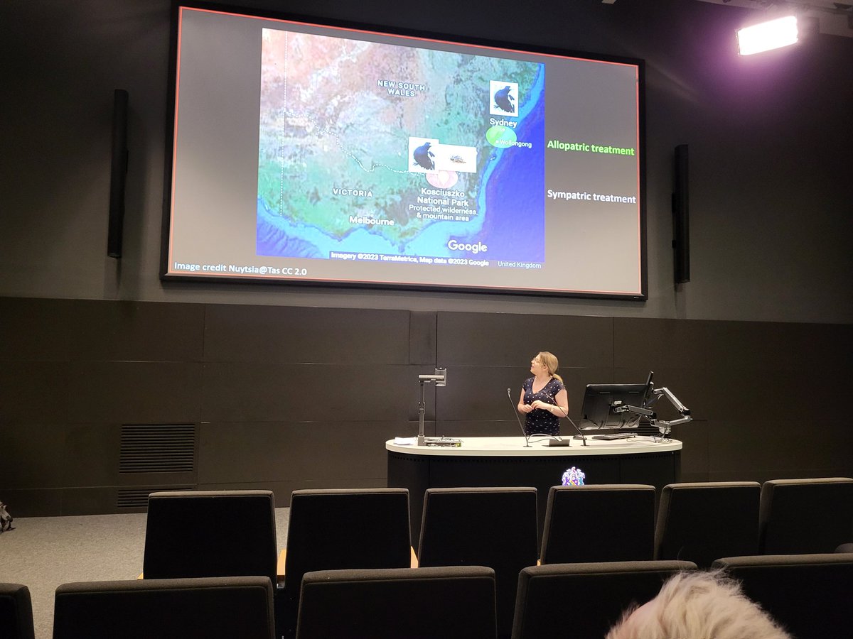 Welcoming my old colleague Dr Eleanor Drinkwater for @WrittleOfficial for the @BiologyEHU lunchtime seminar, she gave an exciting talk about deimatic behaviours, where the experiment apparently involved throwing cheese and beetles at magpies in Australia!
