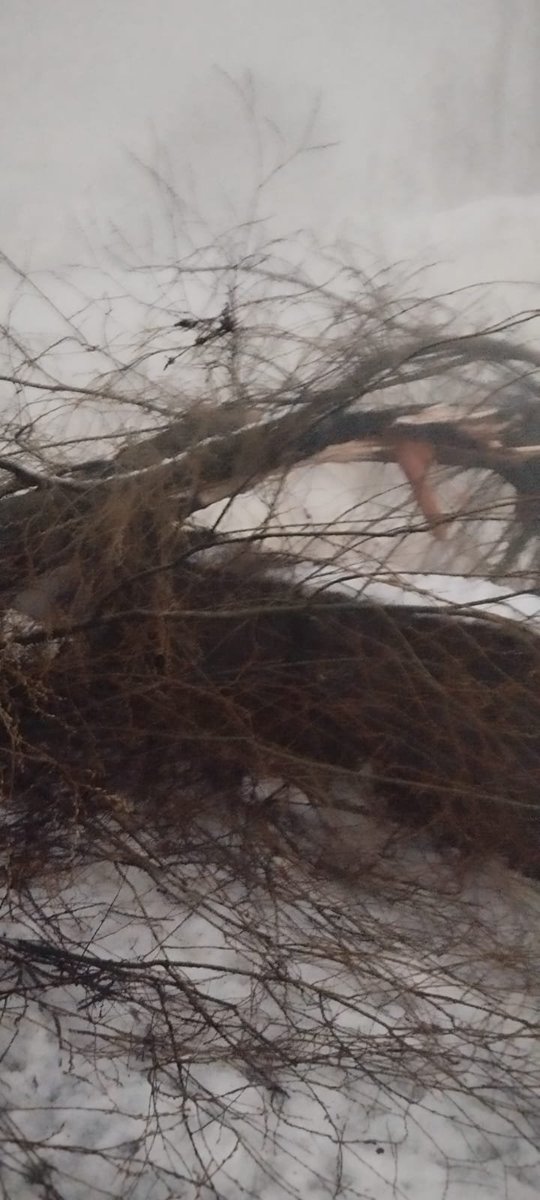 kpdcloffice's tweet photo. #SnowPowerUpdates
132 kV Sheeri LJHP line off since 5pm feeding 2x20 MVA of LJHP Grid. This line feeds three 33 kV lines viz Uri, Boniyar & Peerniyan. As a result, whole S/D Mohra is without power: Er. Shazia Ali, SDO.
@diprjk @OfficeOfLGJandK @Raj576113 @mussarat_zia