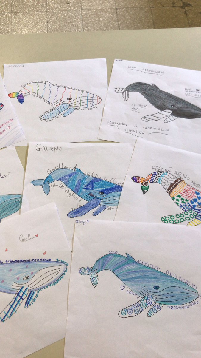 Greenpeace Gruppo Locale di Napoli tweet media