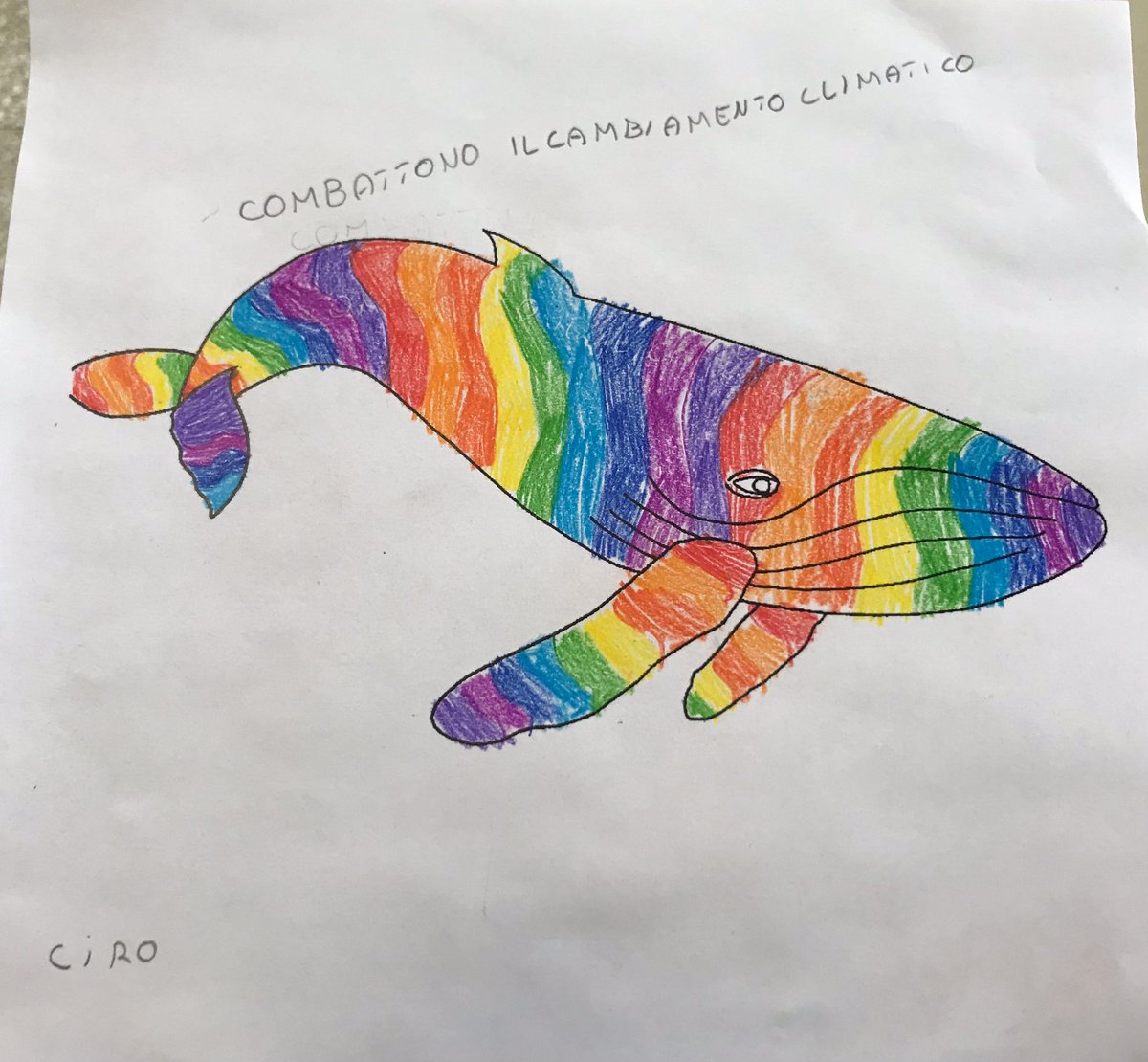 Greenpeace Gruppo Locale di Napoli tweet media