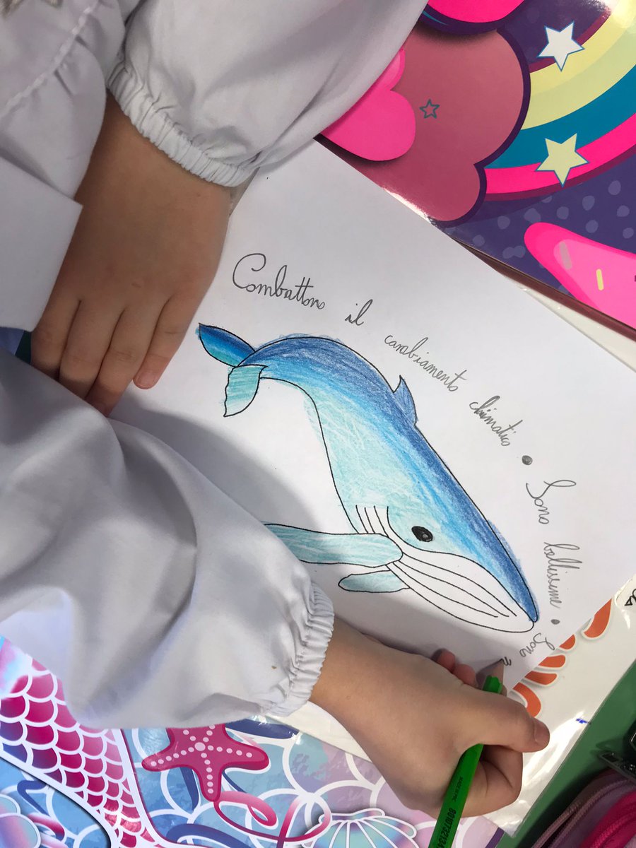 Greenpeace Gruppo Locale di Napoli tweet media