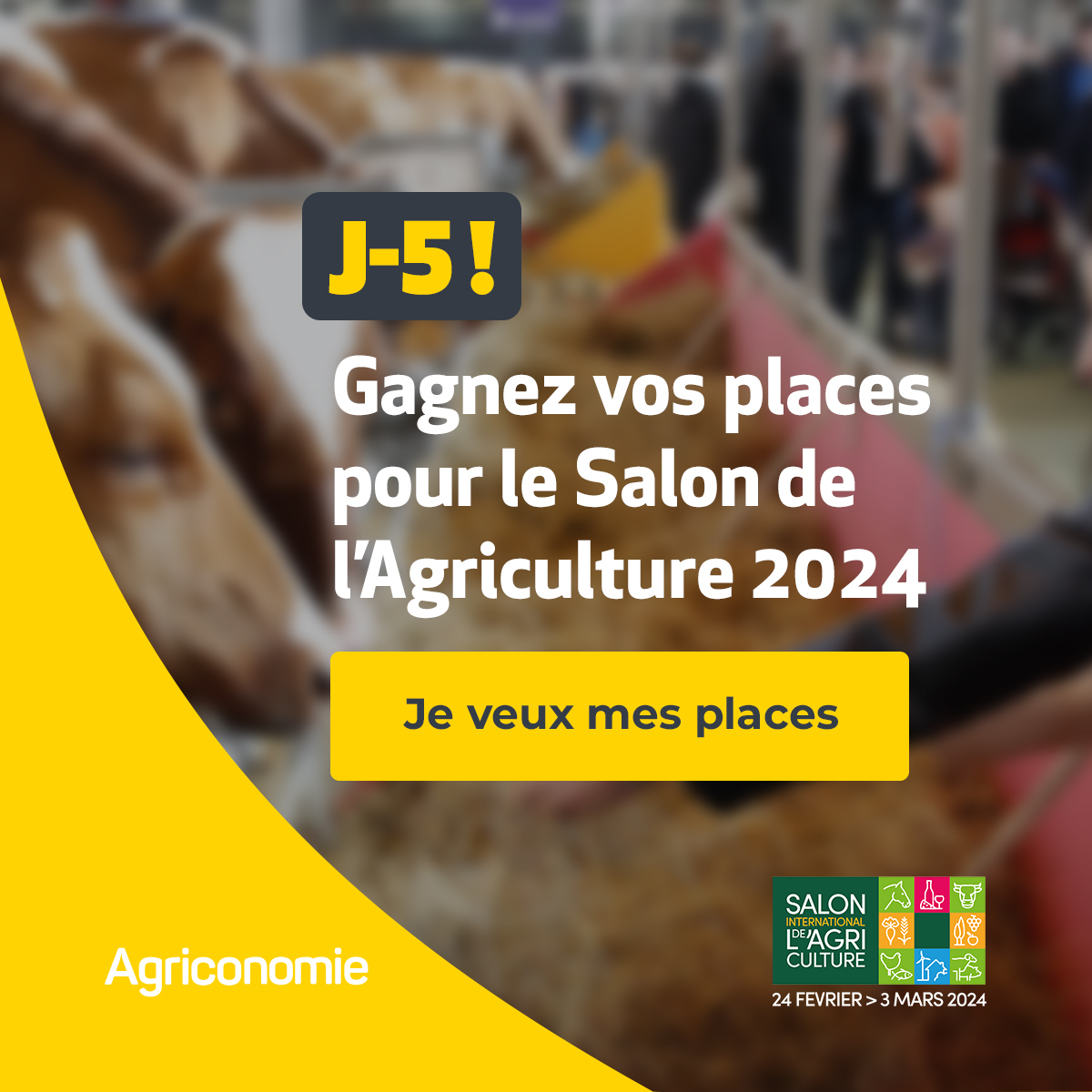 Agryco (ex : Agriconomie) (@agryco_com) on Twitter photo Gagnez vos places pour le <a href="/Salondelagri/">Salon International de l'Agriculture</a> 🚜
Comment participer ? ⤵️
1⃣ Aimer la publication
2⃣ Mentionner en commentaire la personne avec qui vous souhaitez assister à l'événement
3⃣ Suivre le compte @Agriconomie
➡️ Tirage au sort chaque jour jusqu'au 22 février.
Les gagnants Gagnez vos places pour le <a href="/Salondelagri/">Salon International de l'Agriculture</a> 🚜
Comment participer ? ⤵️
1⃣ Aimer la publication
2⃣ Mentionner en commentaire la personne avec qui vous souhaitez assister à l'événement
3⃣ Suivre le compte @Agriconomie
➡️ Tirage au sort chaque jour jusqu'au 22 février.
Les gagnants