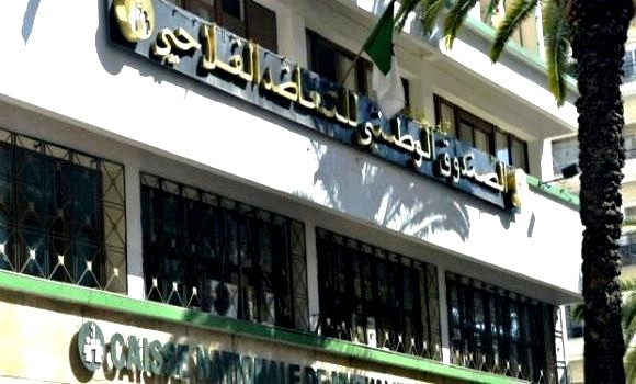 APS_Algerie's tweet photo. #Assurances: signature d'une convention de coopération entre l'#OAA et l'#UGAA
🔗https://t.co/lVAc26WmgR https://t.co/5DCint777N