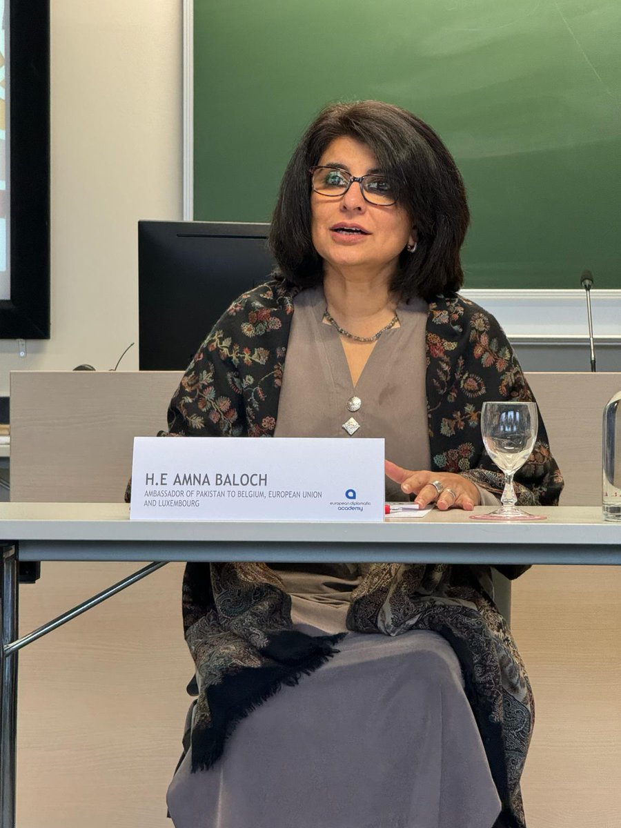 European Union Diplomatic Academy tweet media