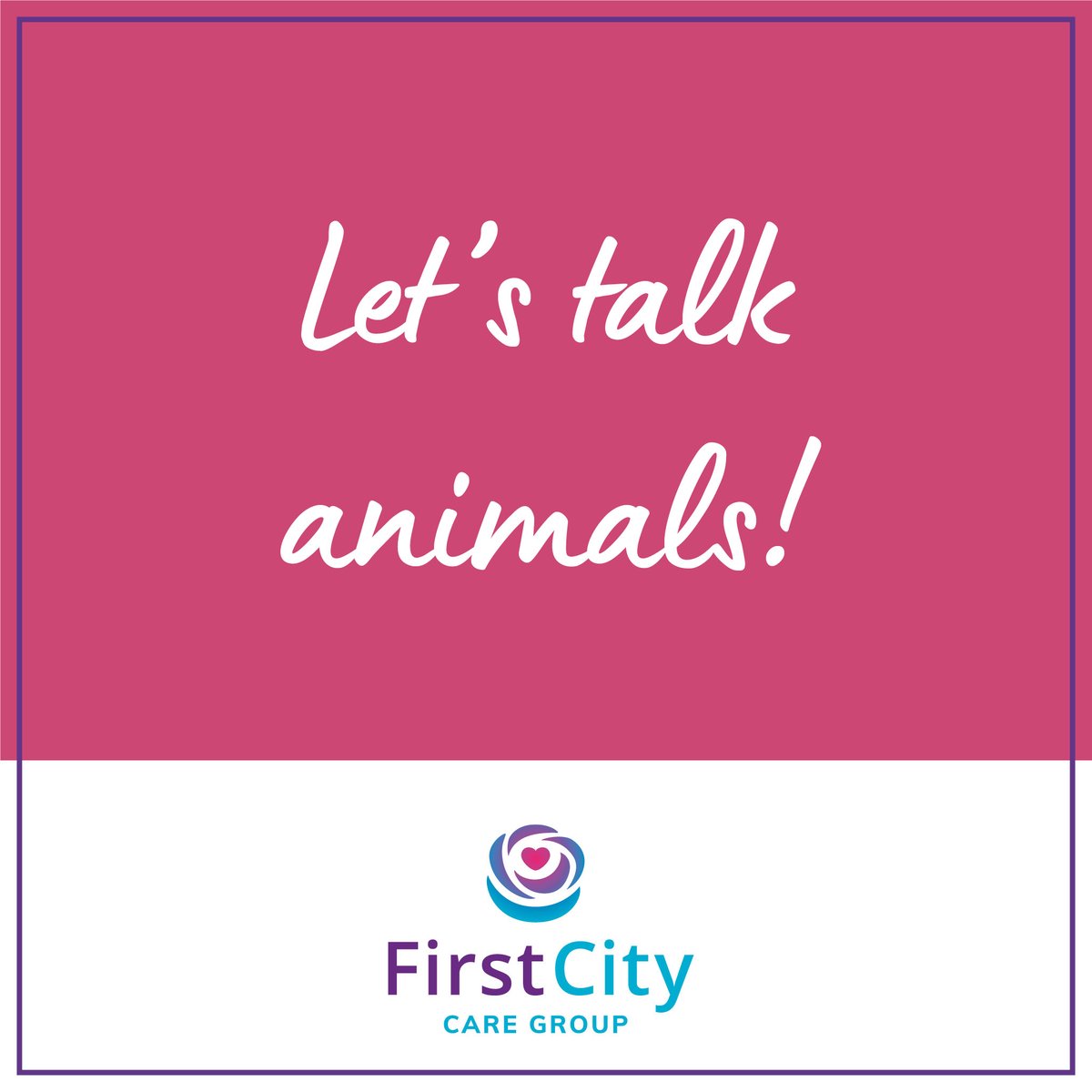 What's your favourite animal? Let us know in the comments below...

#TuesdayThoughts #TuesdayTopic #Gettoknowyourcolleagues #gettoknowme #Shareyourthoughts