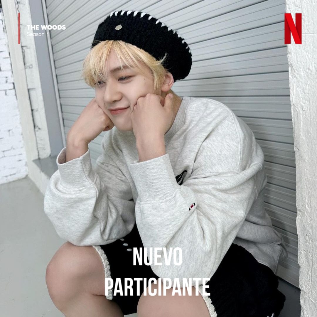 🏠🌲 tweet media