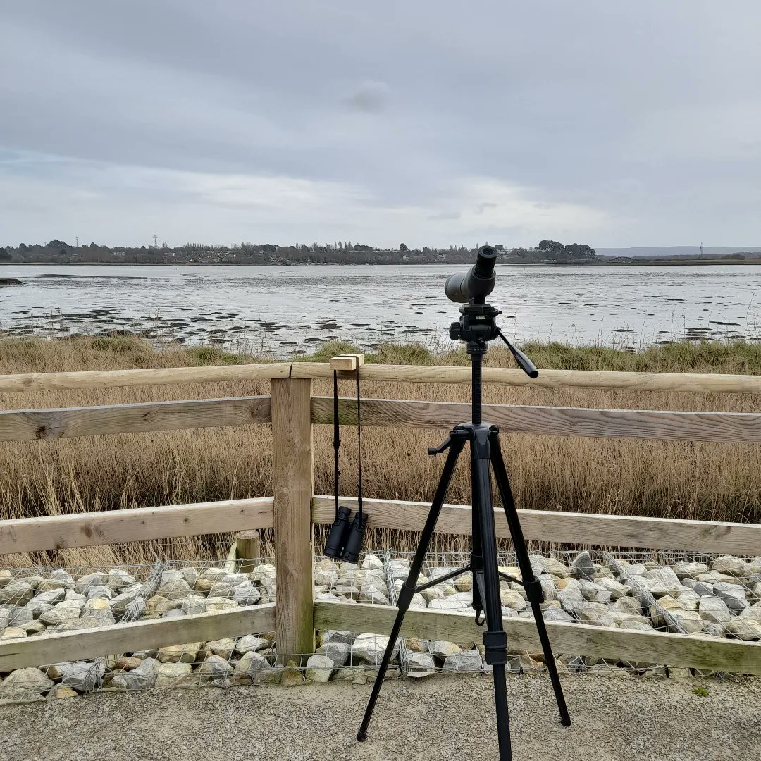 BirdsofBARI's tweet photo. We're at Rock Lea View until 4pm! There are lots of birds foraging in the mud in preparation for their long flights home, its a lovely sight, come check it out! ๐๐
#free #birdwatching #rockleaview https://t.co/Gr024DlxUq