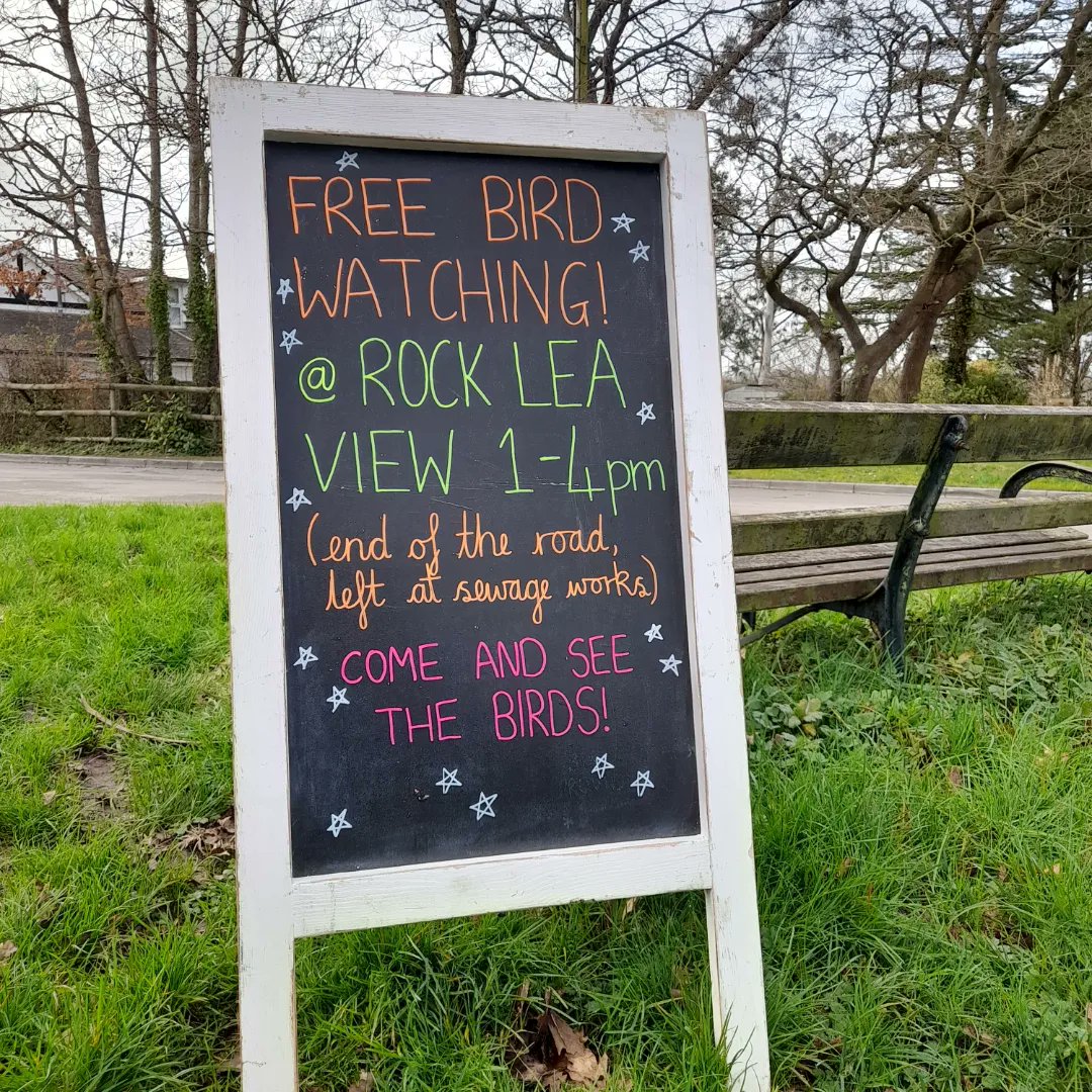 BirdsofBARI's tweet photo. We're at Rock Lea View until 4pm! There are lots of birds foraging in the mud in preparation for their long flights home, its a lovely sight, come check it out! ๐๐
#free #birdwatching #rockleaview https://t.co/Gr024DlxUq