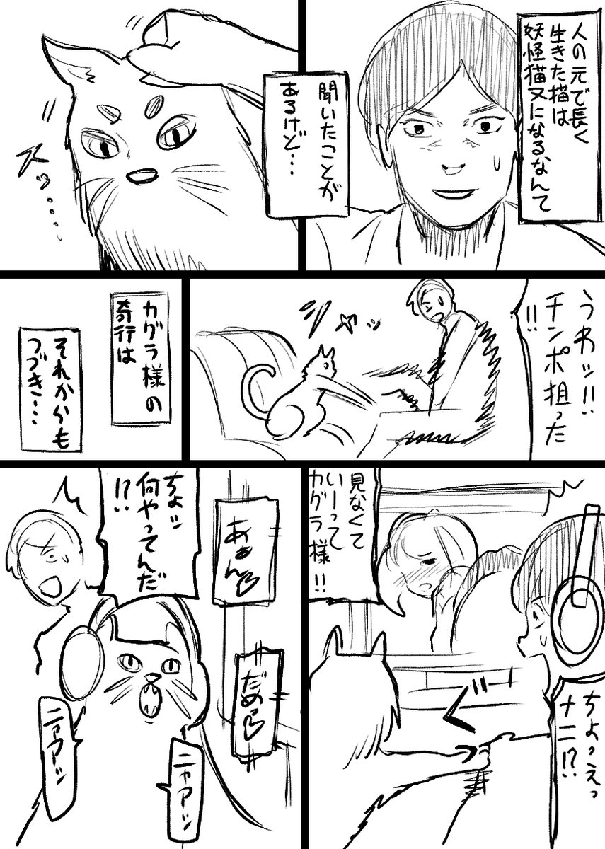 二十八発目 #短ネーム訓練 お題はストックから「猫」 