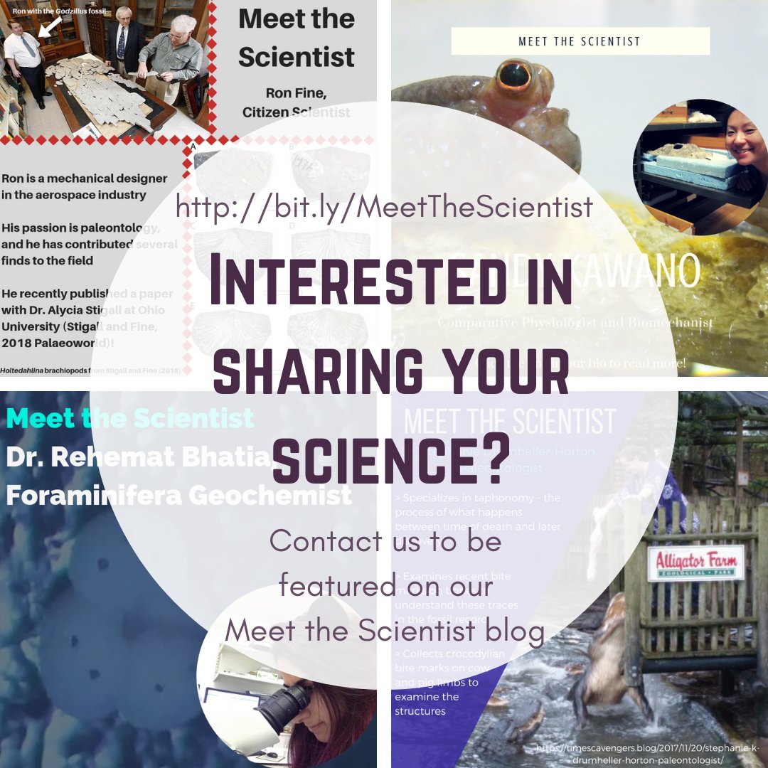 Our #MeetTheScientist blog is being seen all over the world by members of the public 🌎&amp; used in college classes 📄. We feature  professional, avocational, &amp; community scientists, at any career stage, in any field! Contact us! bit.ly/MeetTheScienti…
