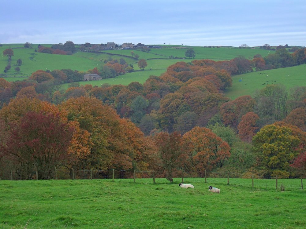 Want to embark on your own adventure through the Shire? Head to our latest article to read all about #hiking the #Tolkien Trail in #Lancashire 🌳 Link below. 

➡️easyvoyage.co.uk/news/article-5…

📸 Kevin Eaves / <a href="/Shutterstock/">Shutterstock</a> 

#lotr #travel #hiking #lordoftherings