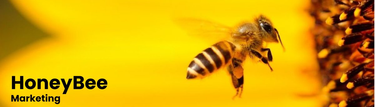 HoneyBee Marketing & SEO tweet media