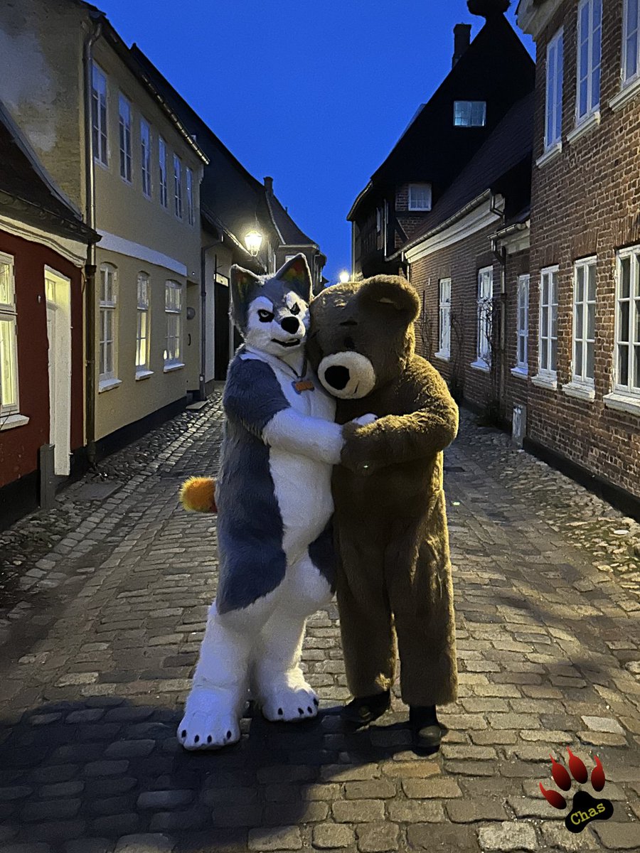 out for some evening walkies around the old city of Ribe with this gorgeous floofy teddy (on his first outing)

had some passer-bys smiling at us (only one felt the urge to hide as we waved back 😅)

guard dog and 📷 provided by <a href="/PupChasAD/">PupchasAD 🔜 GBUK/Folsom (Bluesky and Mastodon)</a>

🌍 #Ribe, Esbjerg, #Denmark
#fursuit