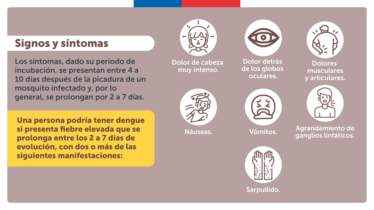 ministeriosalud's tweet photo. ✈️🦟Si vas de viaje a países con presencia de dengue u otras enfermedades transmitidas por el mosquito Aedes aegypti, sigue estas recomendaciones y presta especial atención a los síntomas y signos relacionados a su picadura.

Ante dudas llama a Salud Responde 📞600 360 7777 https://t.co/BoUQXl9olV