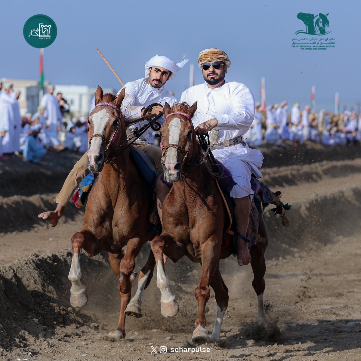 soharpulse's tweet image. أُقيم مهرجان فلج القبائل الخامس عشر 
للهجن والخيل، السبت الموافق ١٦-فبراير-٢٠٢٤م
بدعم من سعادة خالد بن سلطان الجابري الدرعي عضو مجلس الشورى بولاية صُحار

#مهرجان_الهجن 
#ولاية_صحار