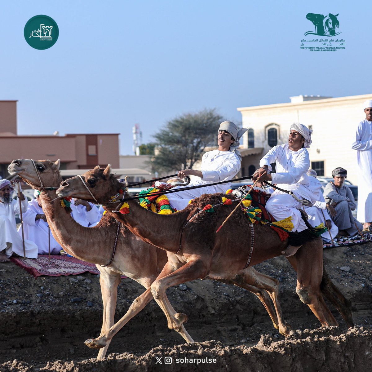 soharpulse's tweet image. #مهرجان_الهجن