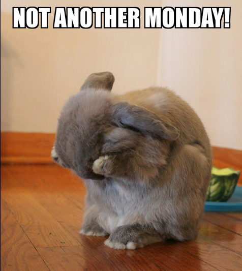 VelvetRabbitInc's tweet photo. It's Monday here at the Rabbit and you know what that means... we're sucking down coffee like it's water and wishing it was already Tuesday. π° So gear up for a week of thrills at #VelvetRabbitInc! π Swing by and savor the irresistible Blue Monday Margarita and February Specialty drinks, now BoGo! πΉπ Let enchanting performances and vibrant beats make you forget the Monday blues. Join us, unwind, and let the Rabbit transform your Monday into a night to remember! π°β¨ #StripClubLife
