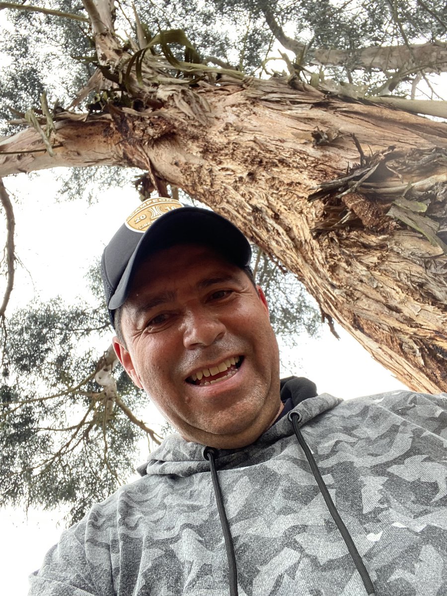 WSAOCO's tweet photo. 😅🏃‍♂️☝️💯 https://t.co/nlX5LX3zkv
