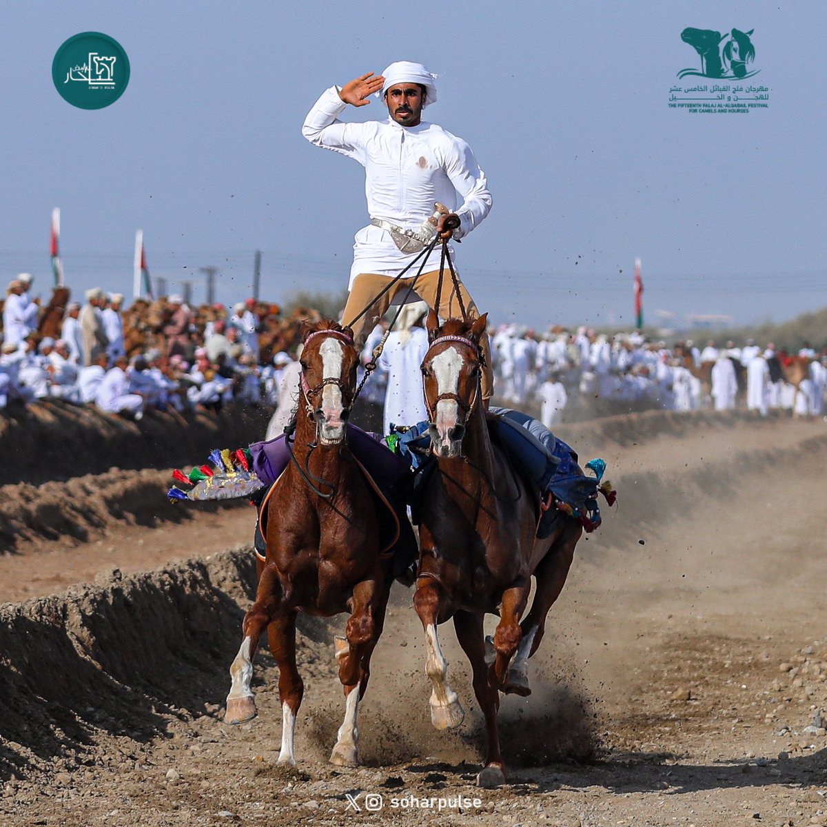 soharpulse's tweet image. #مهرجان_الهجن