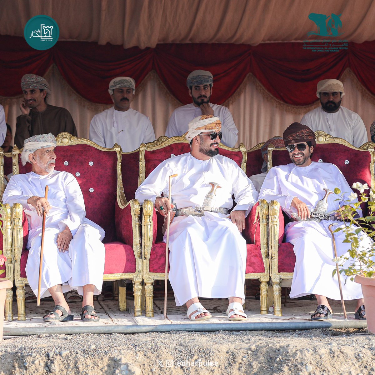 soharpulse's tweet image. #مهرجان_الهجن