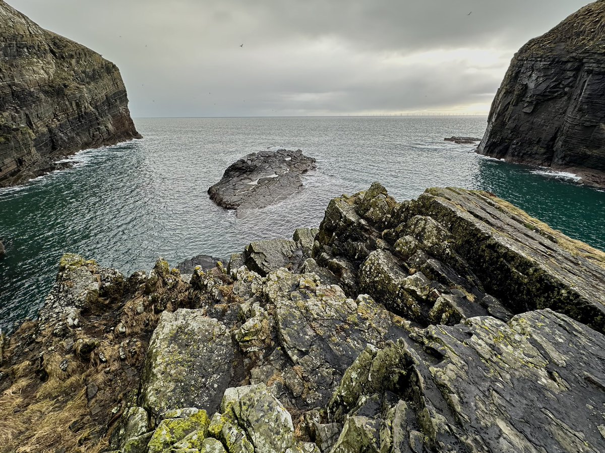 Heading north on the NC500. Whaligoe steps down to the ancient harbour 250ft below. A nice wander down but a bit of a hike back up!
#whaligoesteps #nc500 #iphonephotography #darrenclarkphotography #northcoast500 #whaligoe #whaligoehaven