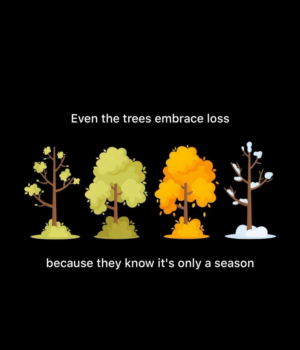 barsuccess_va's tweet photo. Fallen nuggets? Fallen noodles? Fallen whatever  in the Bar Exams? 

Do not sulk, be inspired by the tree.
The beauty of falling is that you are give a chance to rise up, again.  Higher. 

 Join our exclusive group of Barristers who receive holistic Bar review support. https://t.co/caGOOINy8l