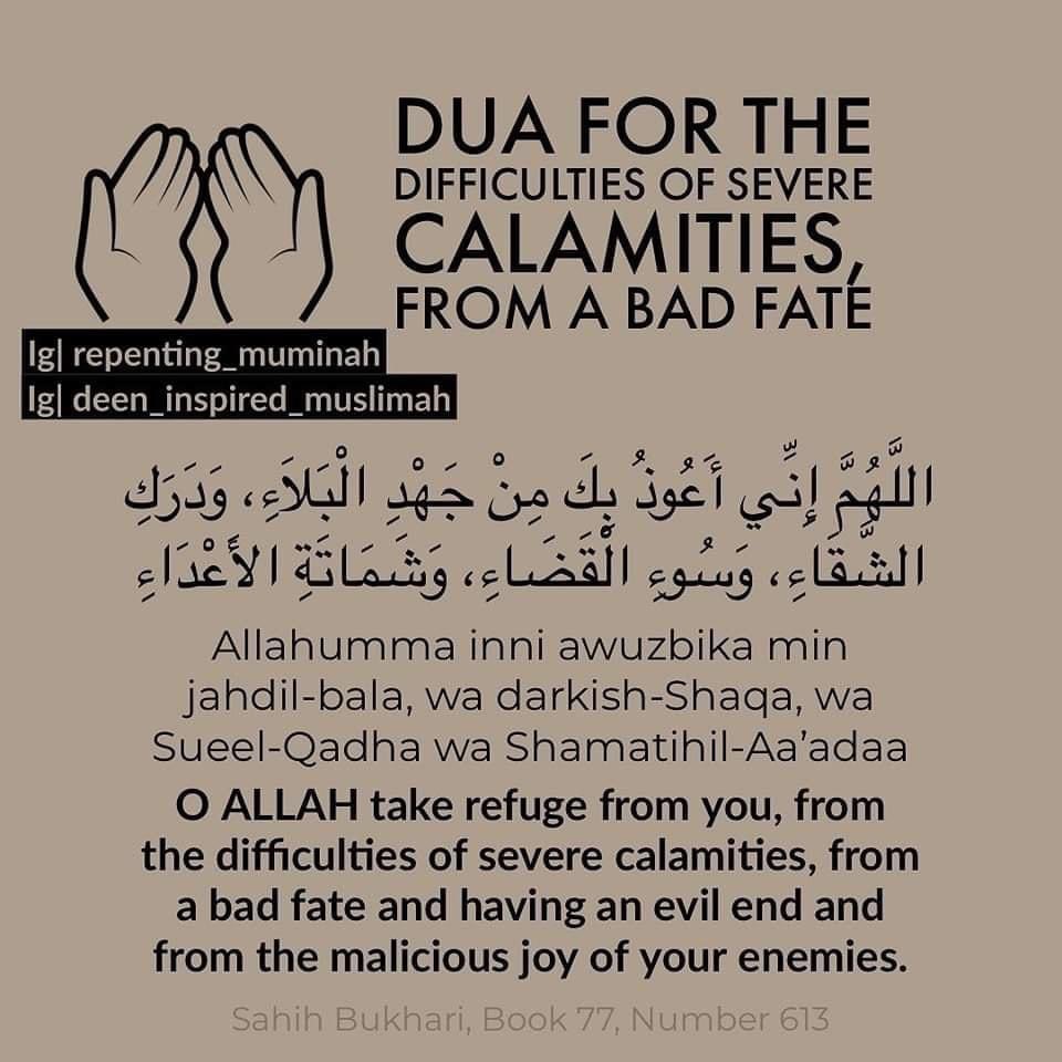 Gabriella porno aktrisa foto