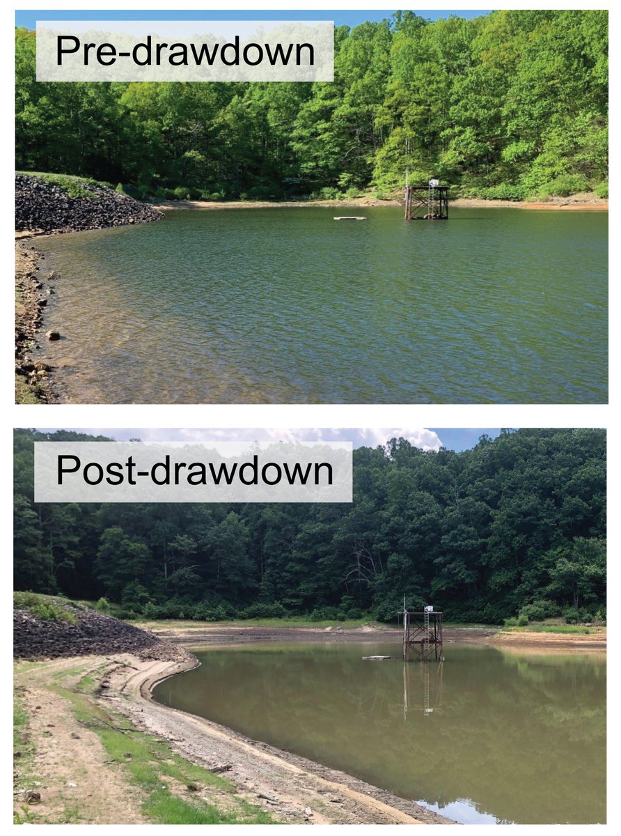 Decreased water level led to dramatically worse water quality in a eutrophic reservoir In our new @JGRBiogeo paper, we show how changes in physical properties of the reservoir cascaded to affect chemistry and biology agupubs.onlinelibrary.wiley.com/doi/10.1029/20…