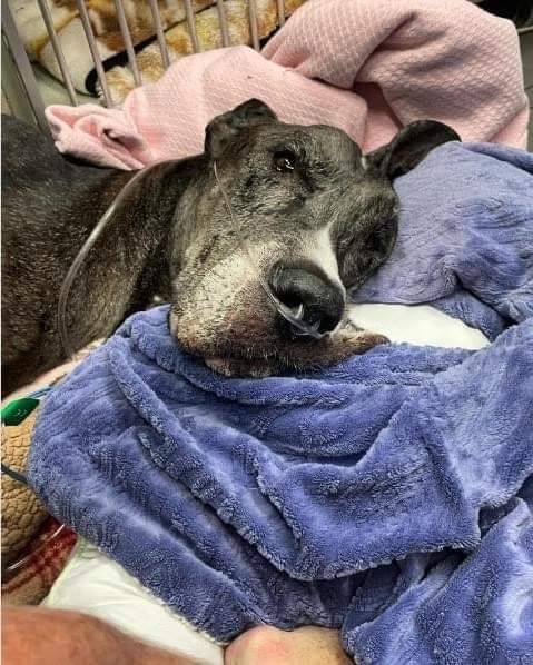 Most people don't want me because I'm not beautiful..But so far nobody has shared my Face. 💔 🥺🙏