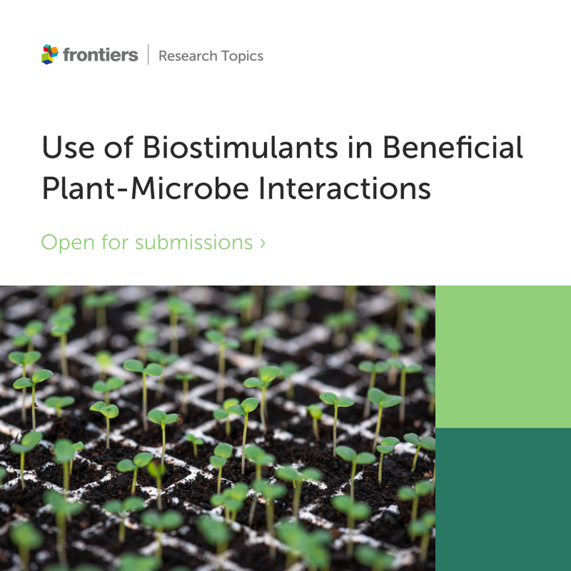 FrontPlantSci's tweet photo. 📣 Calling all researchers!

Submit your latest research to our new Research Topic, edited by Sofia Pereira, Ricardo Aroca, and Pablo Cornejo. 

Don't miss out on this exciting research opportunity! 🌱

#Biostimulants #Biofertilizers #Crops