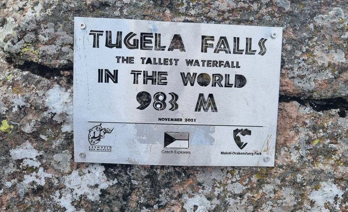 Timothy Will tweet media