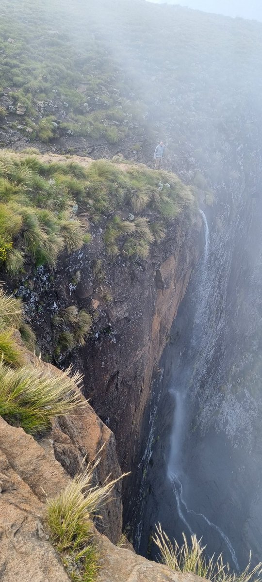 Timothy Will tweet media