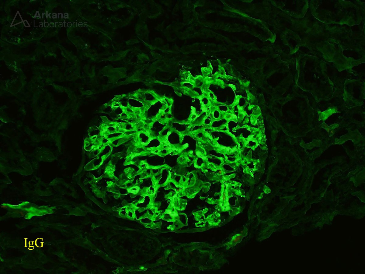 Arkana Laboratories tweet media