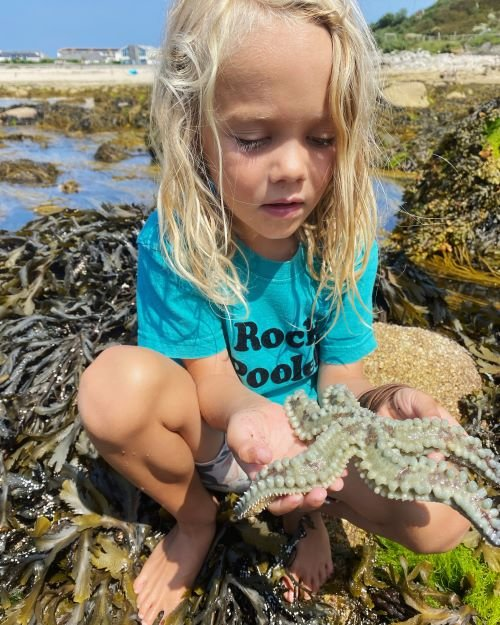 Orkney from @scillyrockpools is doing it again - he's running for our ocean! Orkney (8) has previously raised thousands for @mcsuk & other charities. He told us all about his rockpooling here- tinyurl.com/42h38t3k Show your support & donate here 👇 tinyurl.com/yr6abf4p