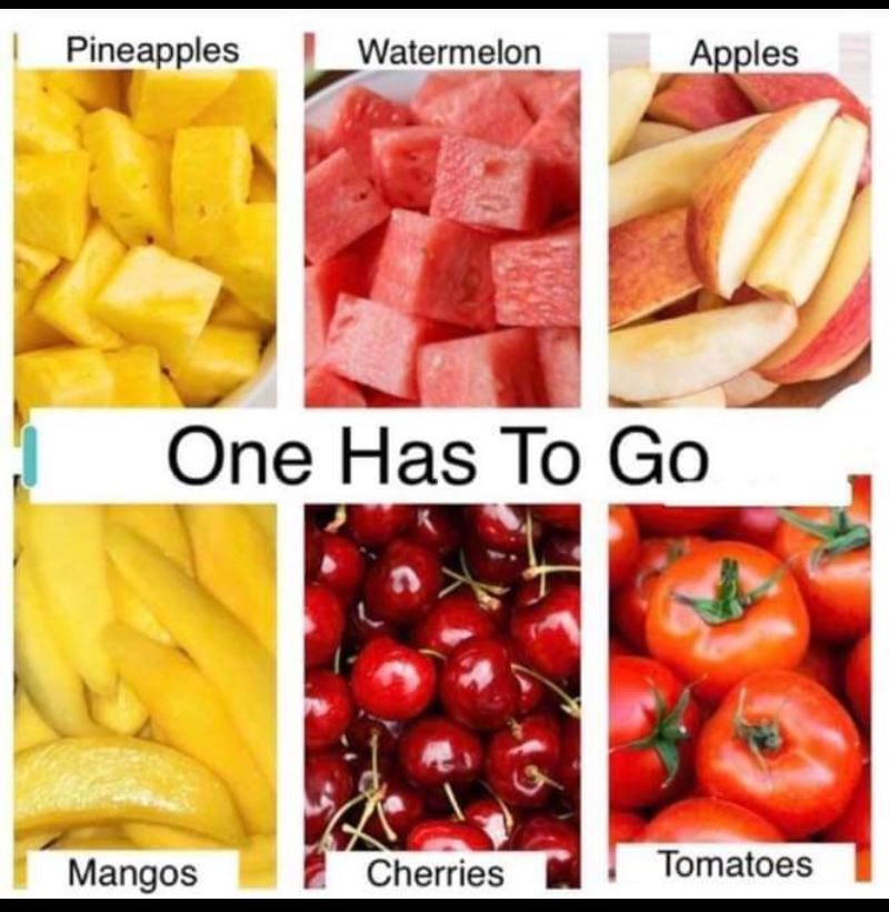 Food Pleaser tweet media