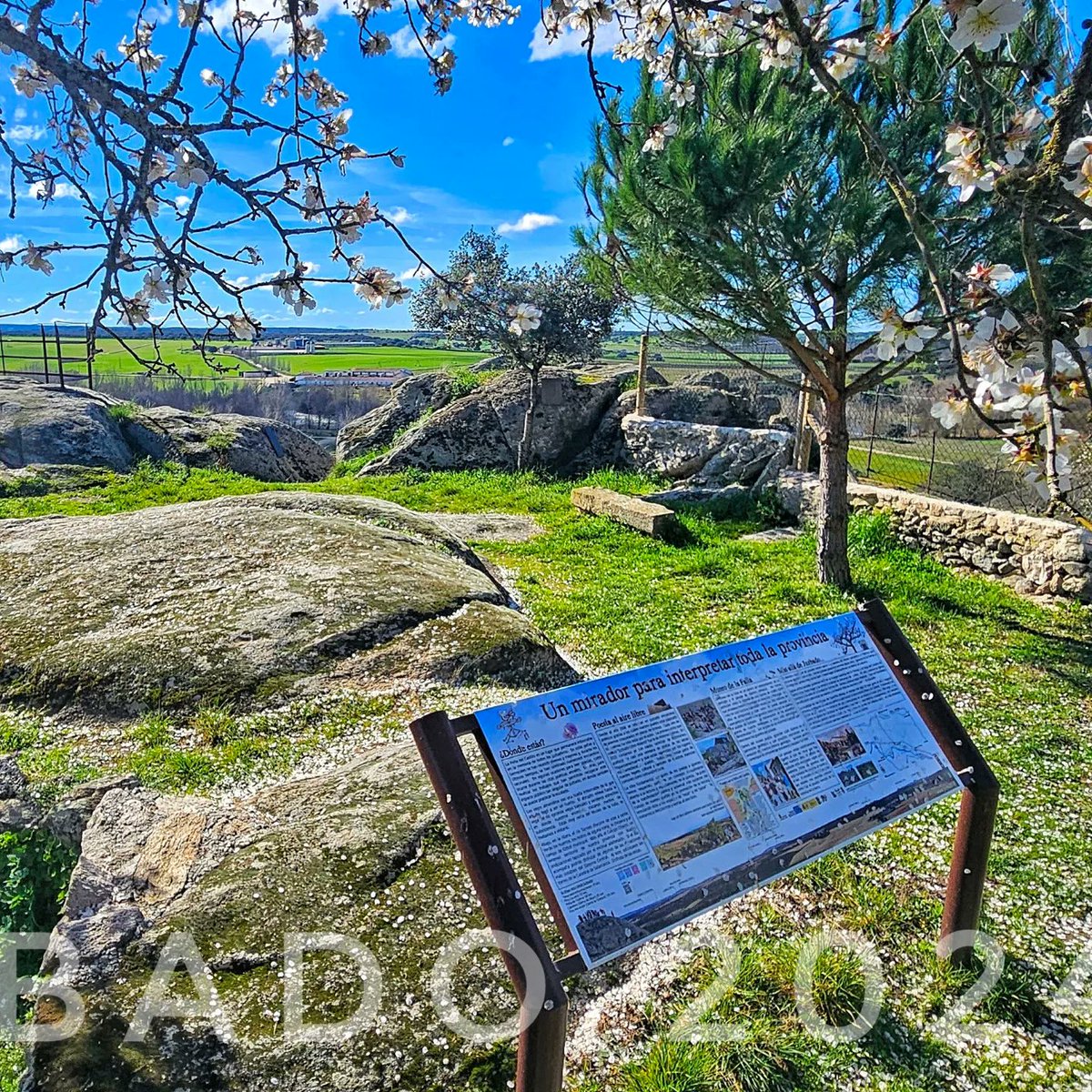 juzbadoayto's tweet photo. Últimos días para ver los #almendros en flor de la Peña del Castillo de #Juzbado..... junto al @Museodelafalla.
#Juzbado2024 #museodelafalla #geoparquedesalamanca #floración #almendrosenflor https://t.co/Y3rSI4IyVI