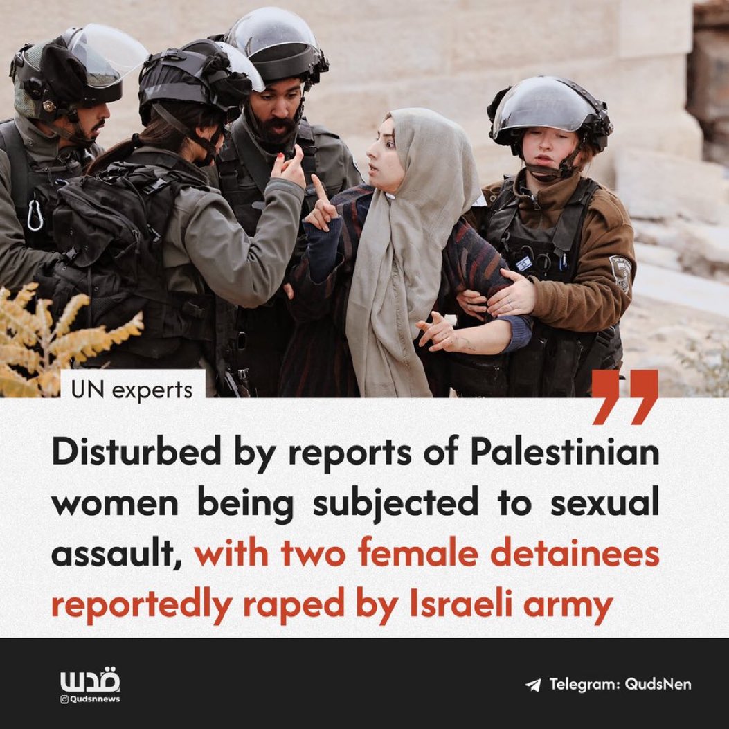 UN experts confirmed that Palestinian women and girls in Israeli detention  face sexual assault, including strip searches by male soldiers. Some were  raped, others threatened with sexual violence., image size:1053x1053