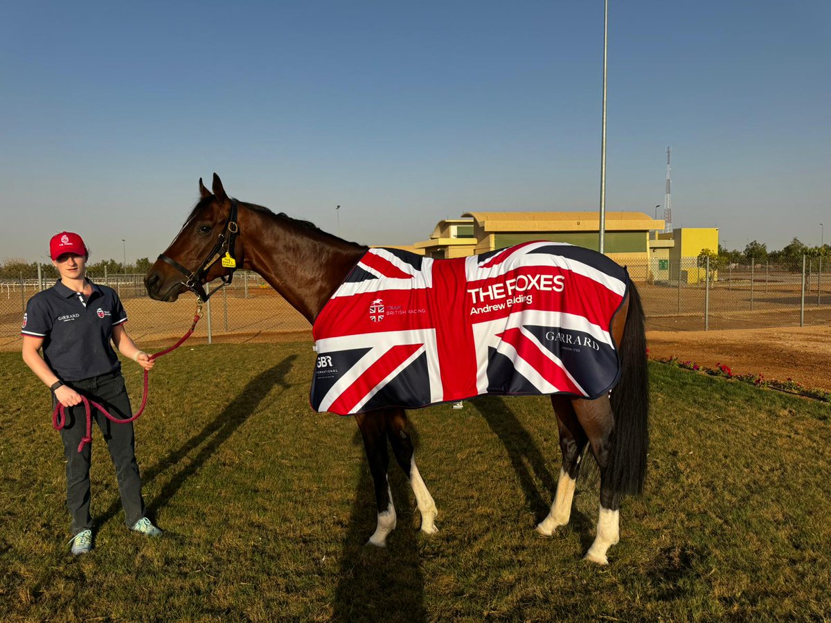 THE FOXES will bid for a third Gr.2 success when he competes in the Neom Turf Cup @thesaudicup on Saturday. 🦊 The four-year-old trained by Andrew Balding for Thai owner King Power Racing is also a Gr.1 runner-up. #TeamBritishRacing 🇬🇧 | @GarrardLondon