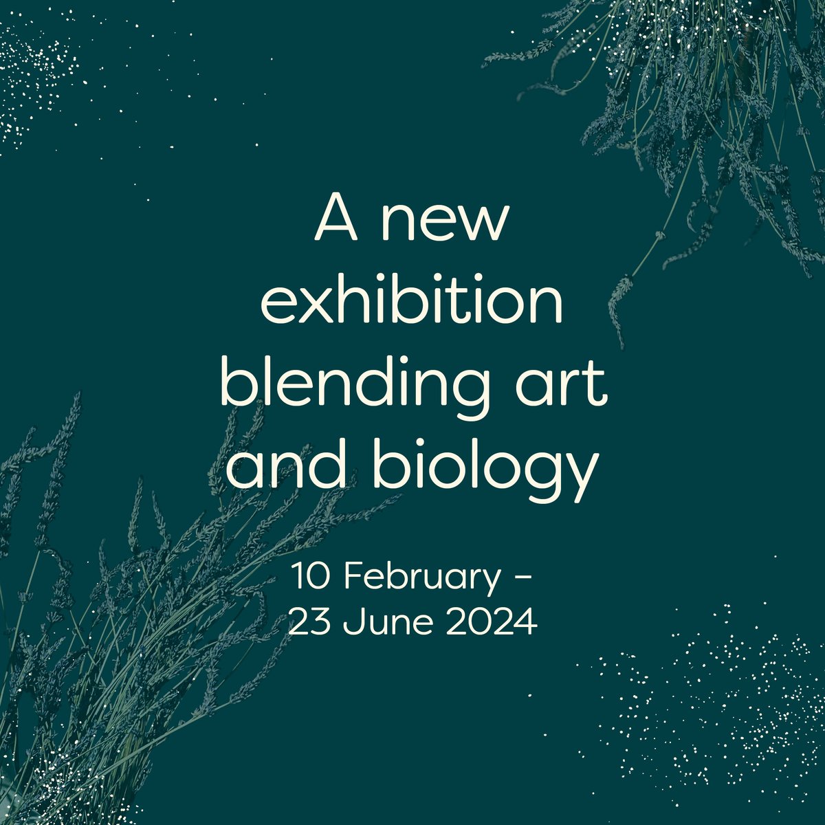 Thackray Museum of Medicine (@thackraymuseum) on Twitter photo Welcome to Fragile Microbiomes - a new exhibition blending art and biology 🦠
It's a groundbreaking collaboration between Thackray, internationally-acclaimed BioArtist <a href="/AnnaDumitriu/">Anna Dumitriu</a> and Dr Jane Freeman from <a href="/UniversityLeeds/">University of Leeds</a>.
🗓️ Open until 23 Jun 2024
🔗 bit.ly/FragileMicrobi… Welcome to Fragile Microbiomes - a new exhibition blending art and biology 🦠
It's a groundbreaking collaboration between Thackray, internationally-acclaimed BioArtist <a href="/AnnaDumitriu/">Anna Dumitriu</a> and Dr Jane Freeman from <a href="/UniversityLeeds/">University of Leeds</a>.
🗓️ Open until 23 Jun 2024
🔗 bit.ly/FragileMicrobi…