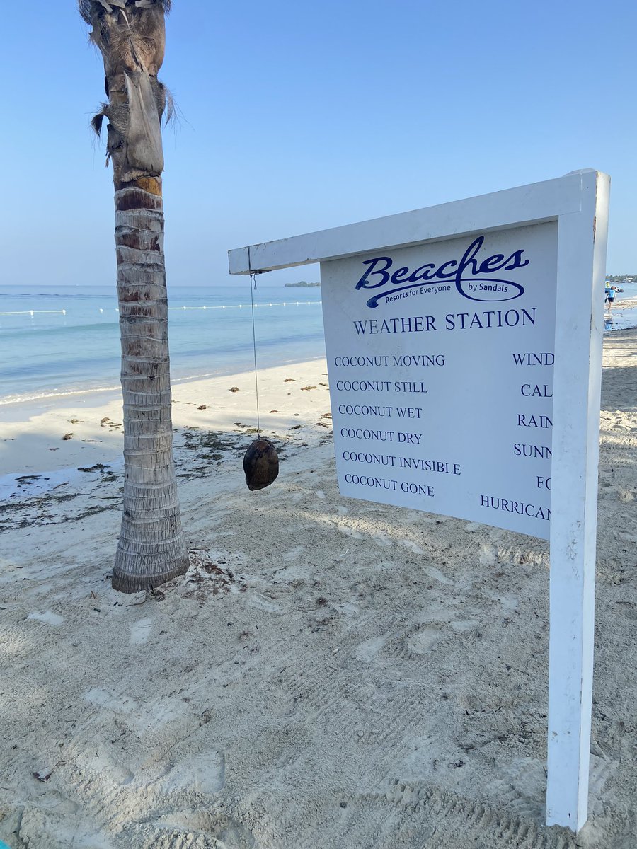 ve6td's tweet photo. Weather looks good, so going diving. https://t.co/TI0xjHTywB