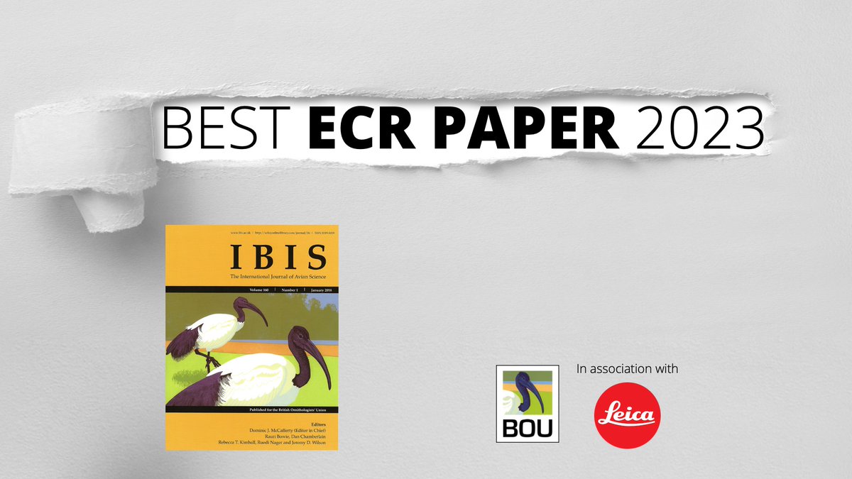 ‼️ VOTE NOW ‼️ For your favourite Early Career Researcher paper published in @IBIS_journal in 2023 Seven of the 54 ECR papers considered have been nominated for the public vote bou.org.uk/ibis/ibis-best… Deadline: 18 March Supported by @Leica_UK @LeicaBirding | #ornithology