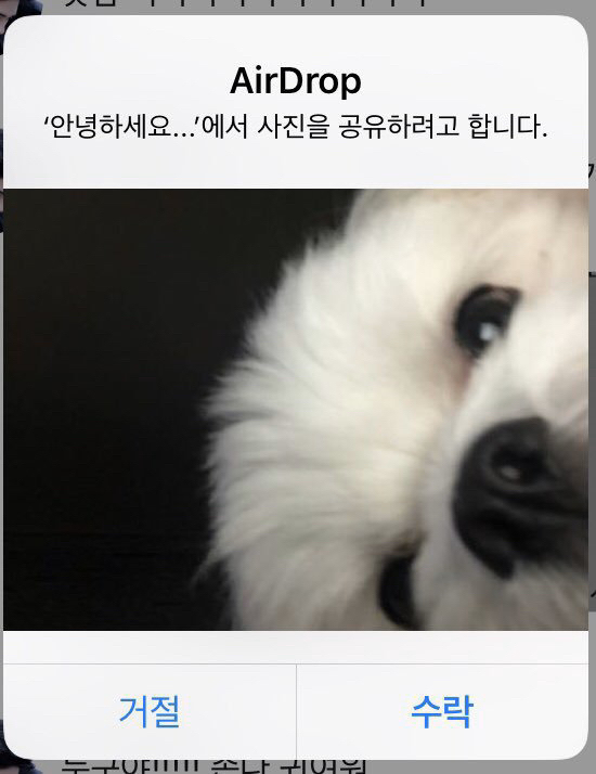 힐링짤모으는곳 (@healing_storage) on Twitter photo 