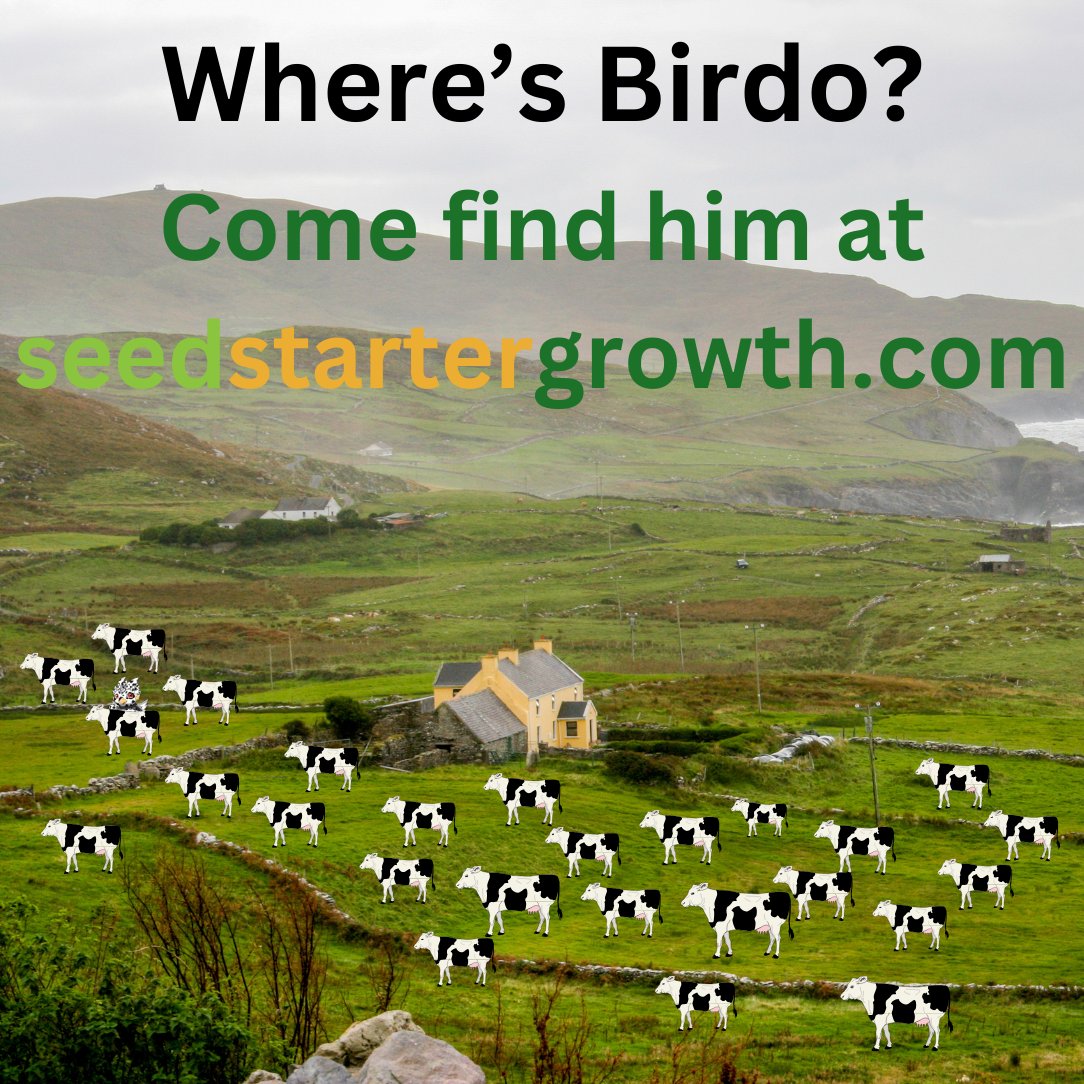 Where's Birdo?

He's free to find and mint at Seedstarter Growth.  Link in Bio.

Free NFT.  Free Mint.  Free User Rewards.  Elevating your experience.