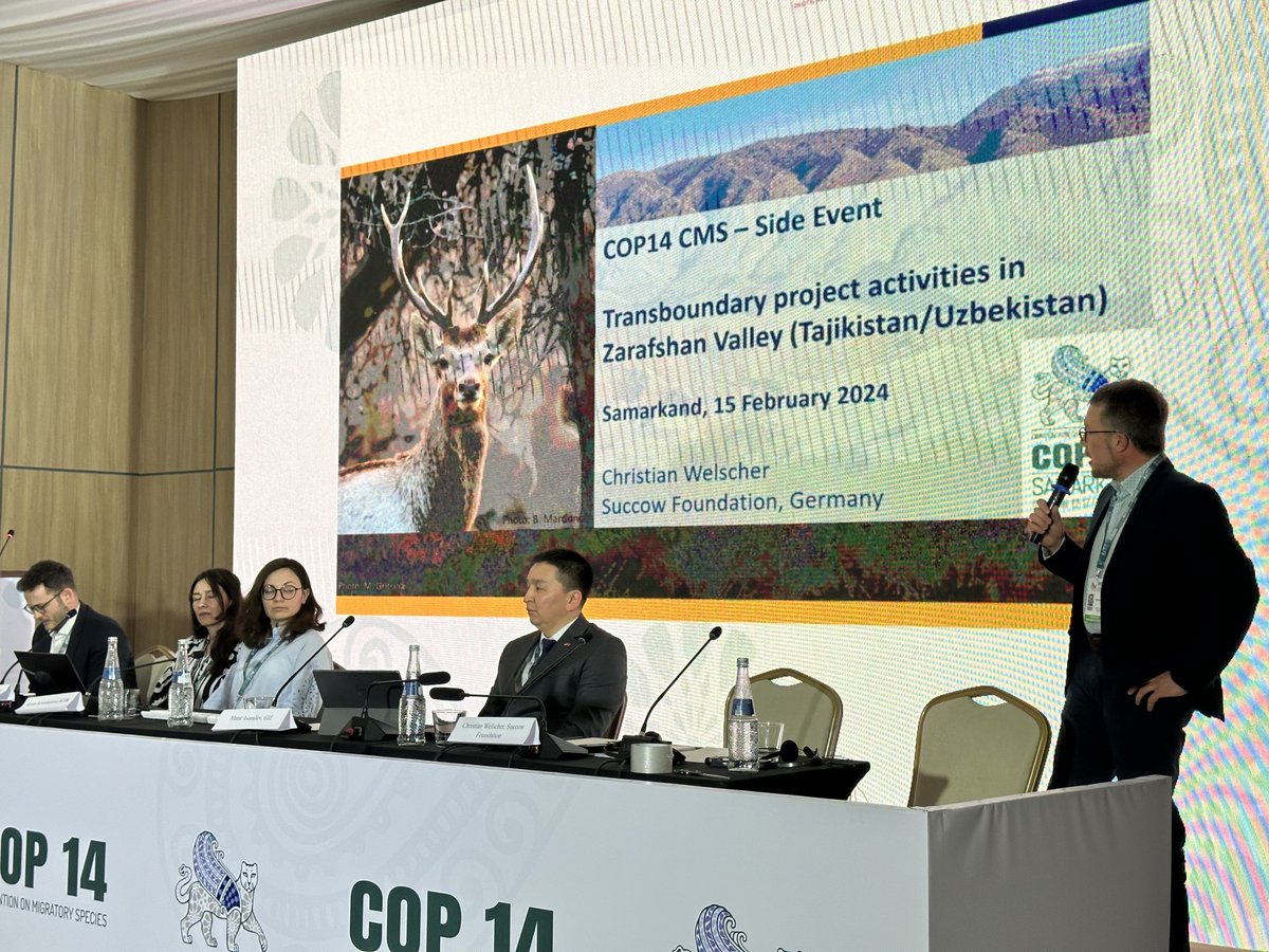 Our #sideevent at #COP14 of the #BonnConvention in focused on improved #transboundarymigration in #CentralAsia & presented best practices in #ZarafshanValley.  ➡️kurzelinks.de/libl
#Biodiversity #BCON #CMSCOP14 #migratory #cami #MigratorySpecies #UnitedNations