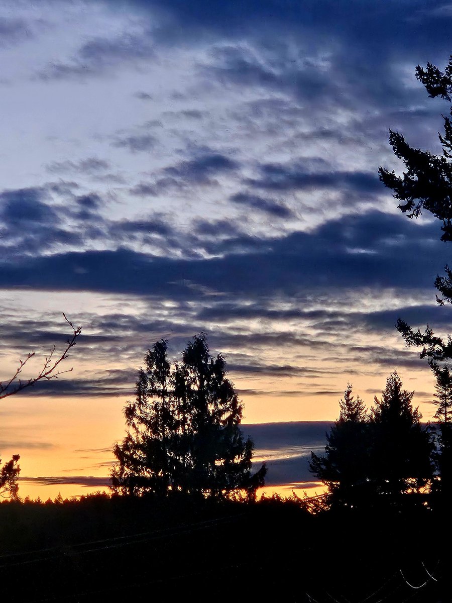 February rising
#sanjuanislands 
#Fridayharbor
#Islands