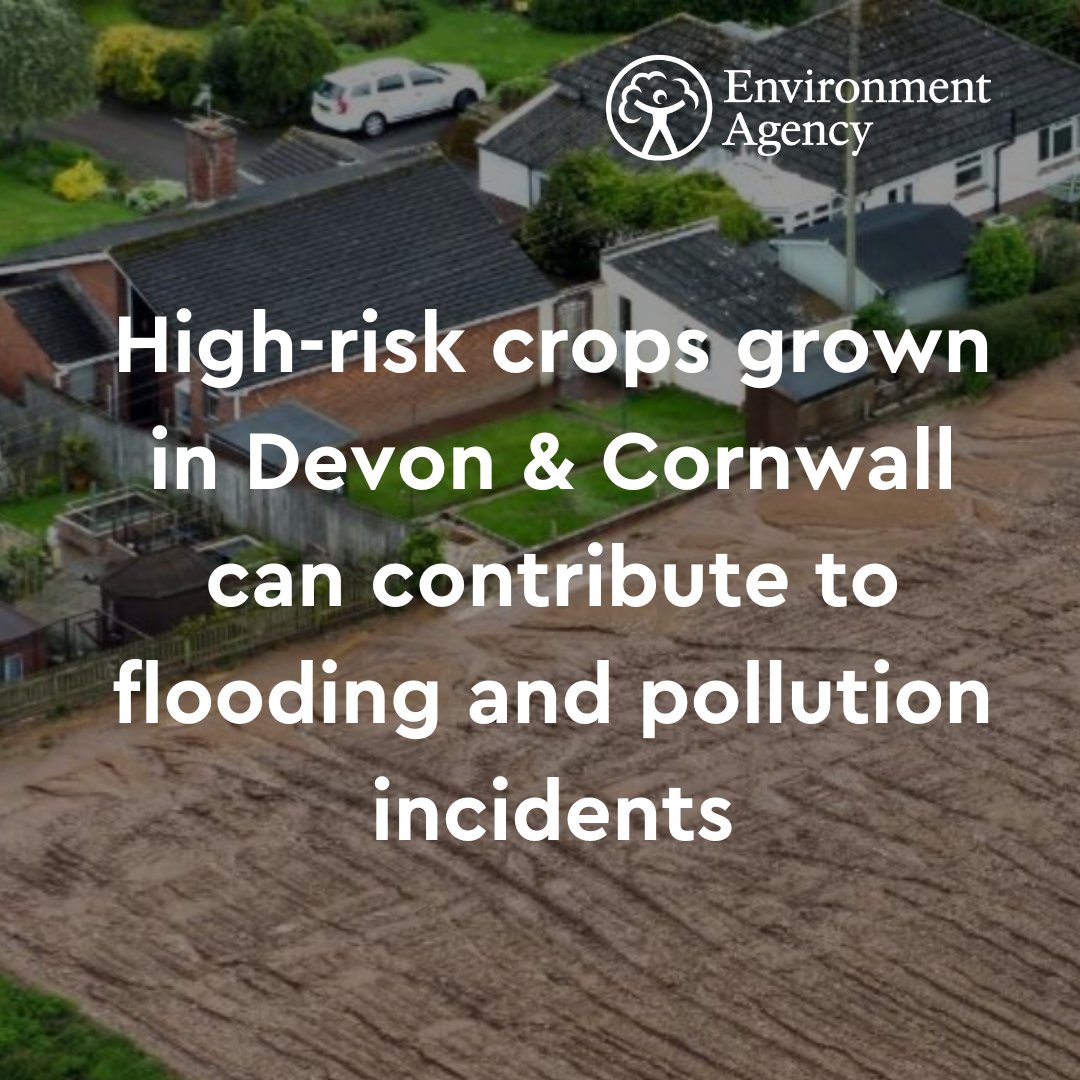 In #Devon & #Cornwall, we are advising farmers not to grow high-risk crops in locations where these are likely to cause run-off, pollution and #flooding. Find out more about the campaign here➡️gov.uk/government/new…